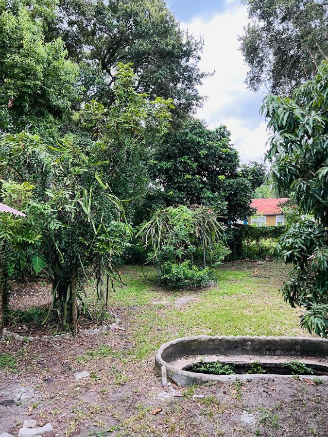 3Bdrm Fruit Tree Home Near Downtown Орландо Екстер'єр фото